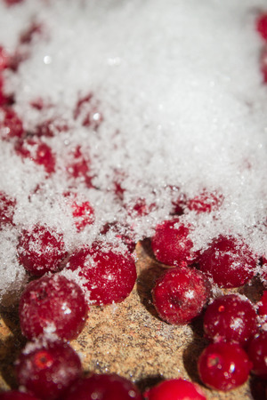 Cold frozen red berry cranberries on the tableの写真素材