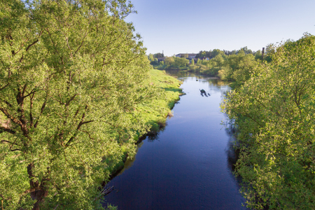 The river in the spring with a thick bushy trees on the shoreの写真素材