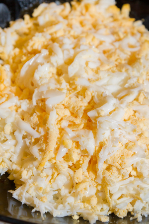 Ingredients for pie grated chicken eggs in a plateの写真素材