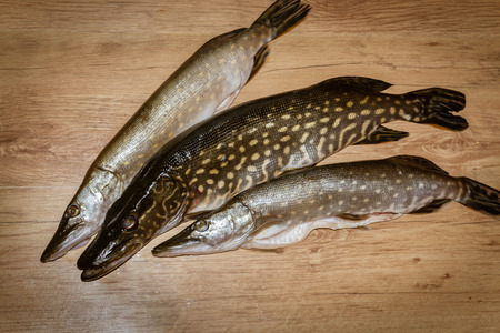 Freshly caught fish pike lying on a wooden backgroundの写真素材