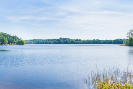 Large forest lake in spring in clear weatherの写真素材