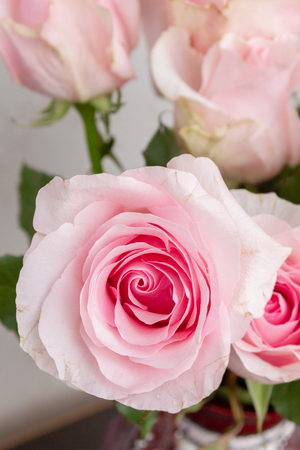 A beautiful bouquet of fresh pink roses in an expensive vaseの写真素材
