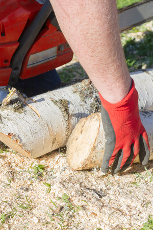 Cut the logs with a chainsaw to prepare firewoodの写真素材