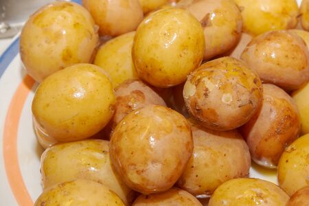 Young boiled potatoes in uniform lying on a plateの写真素材