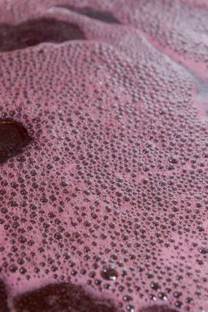 Sweet syrup is brewed from a black berry and a cherry leafの写真素材