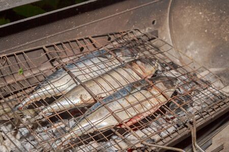 Grilled smoked Golden mackerel fish outside late at nightの写真素材