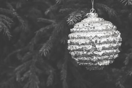 Christmas tree toy hanging on a green fir tree on the streetの写真素材