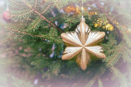 Christmas tree toy hanging on a green fir tree on the streetの写真素材