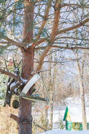 A bird feeder hangs on a tree in the village yardの写真素材
