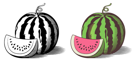 Stylized illustration of watermelon. Vector, isolated on white. Outline and colored versionのイラスト素材