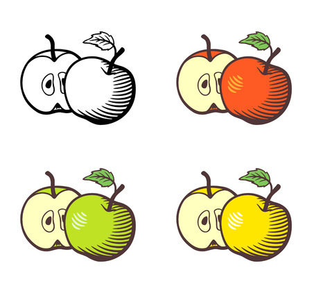 Set of apples. Whole apple with stem and leaf and cross section with seeds. Red, yellow, green apples and outline version. Stylized vector illustration, isolated on whiteのイラスト素材