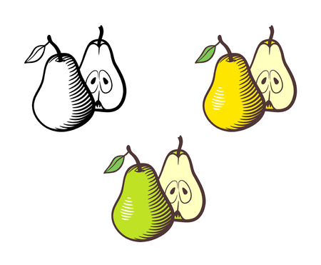 Vector hand drawn illustration of pear. Whole fruit with stem and leaf and cross section with seeds. Yellow, green and outline versionのイラスト素材