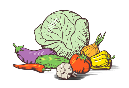 Still life with vegetables. Cabbage, eggplant, tomato, onion, garlic, chili pepper, sweet pepper, cucumber. Stylized colored vector illustrationのイラスト素材