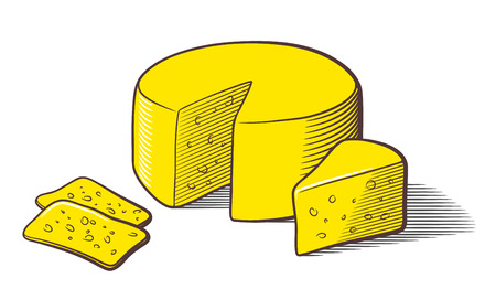 Stylized colored vector illustration of cheese. Cheese wheel and slices. Isolated on whiteのイラスト素材