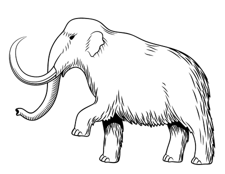 Mammoth. Black and white stylized vector illustrationのイラスト素材