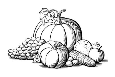Composition of vegetables and fruits. Pumpkins, grapes, corn, orange, nuts and apple. Black and white vector illustration in retro styleのイラスト素材