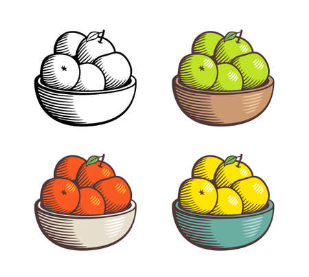 Pile of apples in a bowl. Red, green and yellow fruits. Retro style vector illustration in black and white and colored variantsのイラスト素材