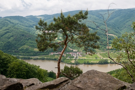 Bank of the Danube in Wachau region of Austriaの写真素材