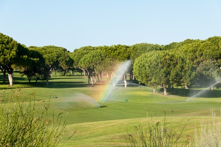 Golf player in the golf field with pine trees and rainbow from wateringのeditorial素材