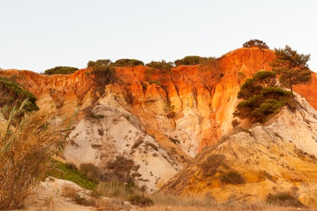 Colorful sandstone cliffs with pine trees in Portugalの写真素材