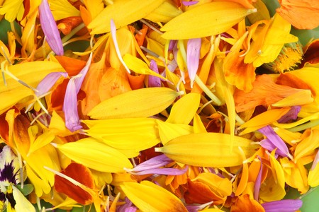 Abstract background from  petals of summer flowers macro