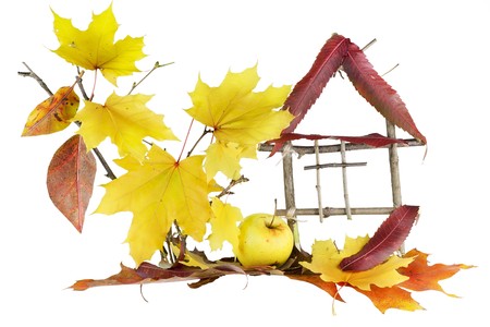 Children's application, collage from autumn leaves. The sweet lovely home  concept. Isolated on white.の写真素材