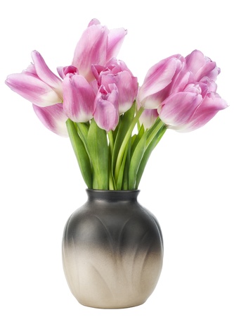 Pink spring first tulips in a simple ceramic vase isolated on whiteの写真素材