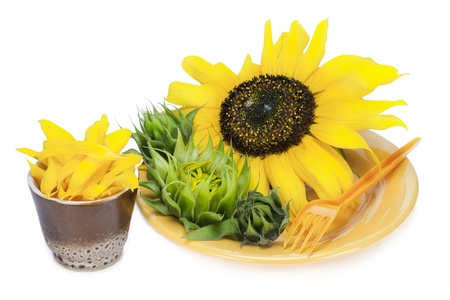 Yellow nature nutrion flowers diet concept- plate with summer sunflowersの写真素材