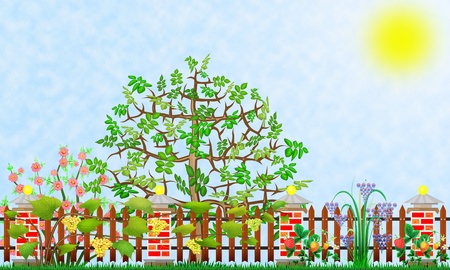 Fragment of fantastic abstract garden illustration collageの写真素材