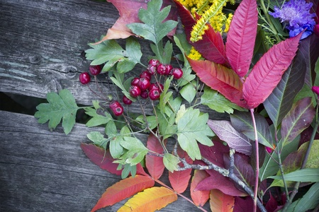 Background from autumn leaves and fruits on a old wooden surface. Selective focusの写真素材