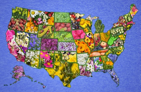 USA American  high resolution map from flowers and plants- great green America  country concept  Collage from only author photos-  please see http   aleksandr-volkov artistwebsites com  tab=artworkの写真素材