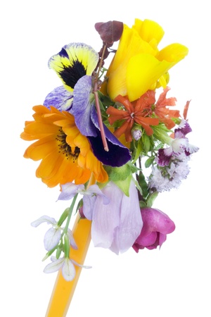 Floral f ice cream from flowers concept isolated の写真素材