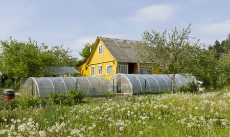 Vegetable poor  no name mass production rural farm with greenhouses on a hillside with dandelions. Sping landscape, sunny dayのeditorial素材