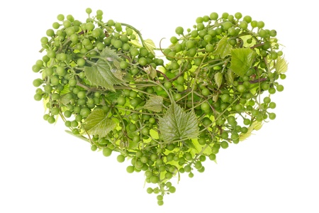 Clusters of green European garden unripe grapes as human heart concept. Isolatedの写真素材