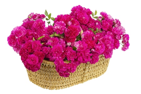Wattled big basket with huge bouquet  of pink roses flowers. Isolated, selective focusの写真素材