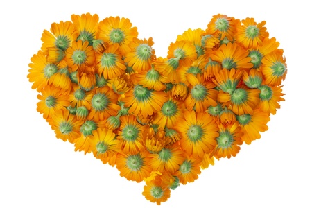 Orange floral isolated heart symbol from medical flowers conceptの写真素材