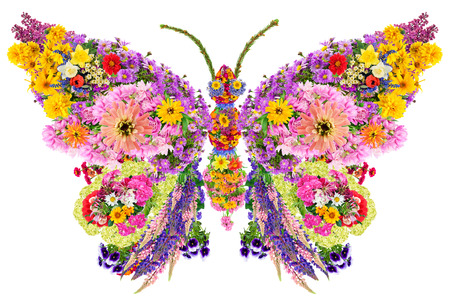Butterfly  abstract collage made from fresh summer flowers. Isolatedの写真素材
