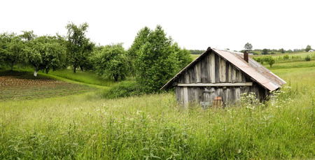 Rural summer landscape of poor Northern Europe isolated panorama. Selective art focusのeditorial素材