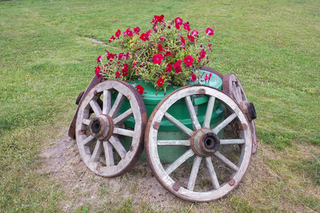 Rustic style  floral bed  on  the sewerage with wooden wheels and fragrant Surfinia flowers. Green summer lawnの写真素材