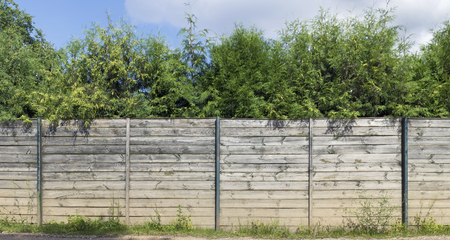 Fragment of a rural fence from horizontal wooden pine boards. Behind a fencing high coniferous evergreen trees grow. Panoramic collage from several photosの写真素材
