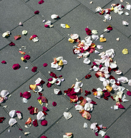 Petals of white and red roses remained on the road after wedding ceremony near a church.の写真素材