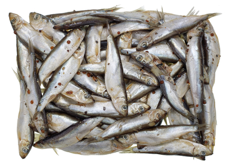 Mass grave of little silvery fishes concept. Heap of salty Baltic sprat. Isolated studio shotの写真素材