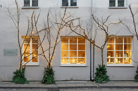 Dry trees with illumination from yellow bulbs adorn the wall of the city public building.の写真素材