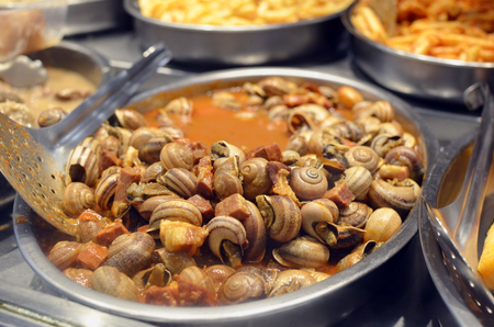 Edible snails stewed in wine sauce with vegetables and bacon, Soft art focus food backfroundの写真素材