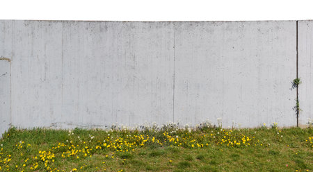 Gray high concrete wall on a hill with flowering dandelions. Panoramic collage from several outdoor spring photosの写真素材
