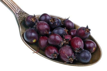 On the old golden spoon there is a dose of natural medicinal product - small dark blueberries  of Buckthorn  tree. Isolated on white studio macroの写真素材