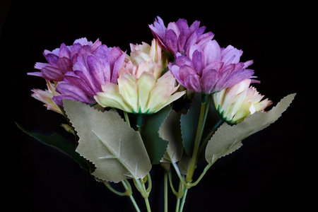 Blue indoor artificial cloth  handmade flowers  bouquet . Night macro on a black background.の写真素材