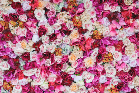 Floral background of many  pink  rosesの写真素材