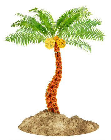 Native symbol  of Palm tree   made from flowers. Isolated handmade photo collageの写真素材