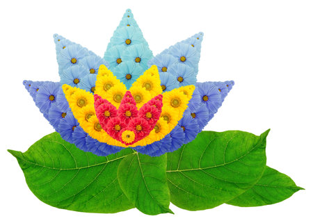The lotus flower made from flowers and leaves. Isolated floral handmade collageの写真素材